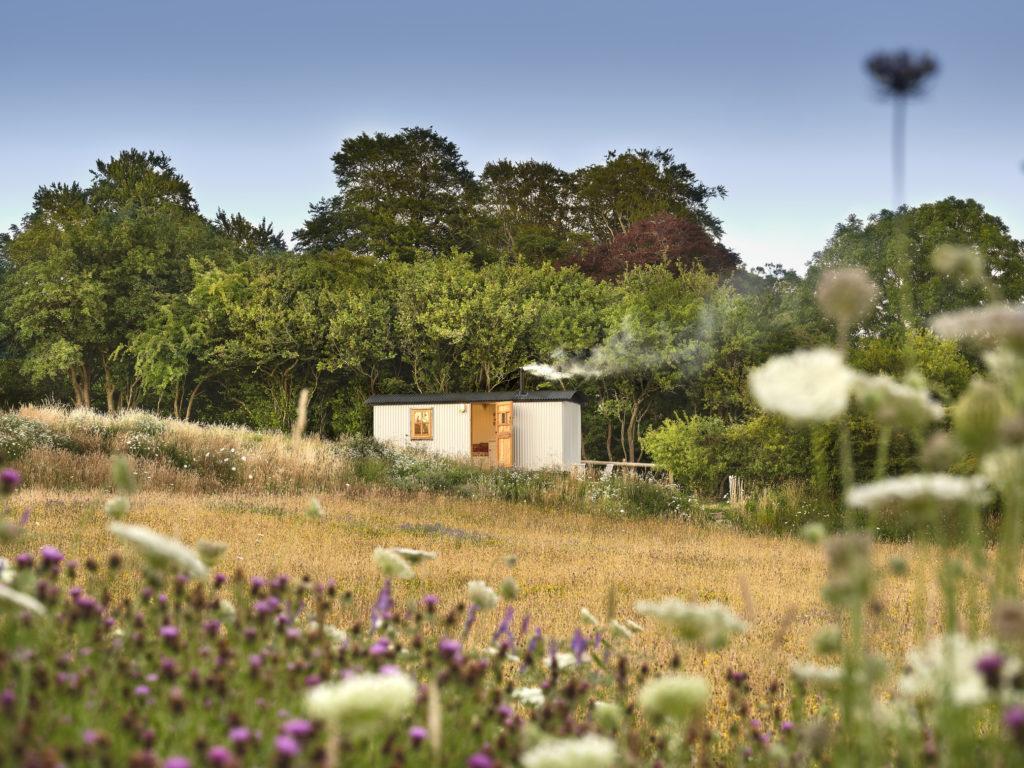 Large shepherd's hut