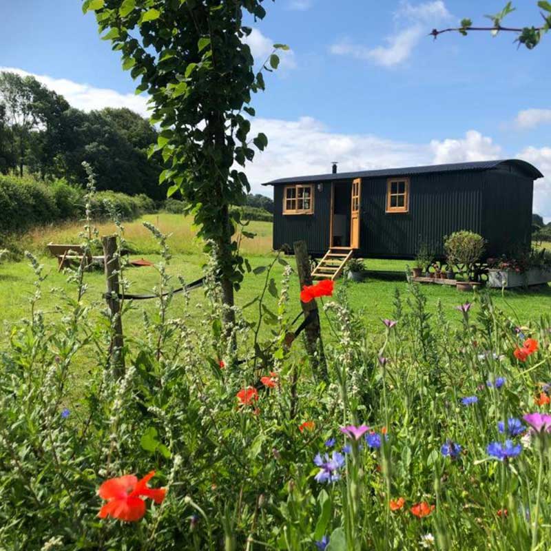 Deer Lodge Shepherd’s Hut