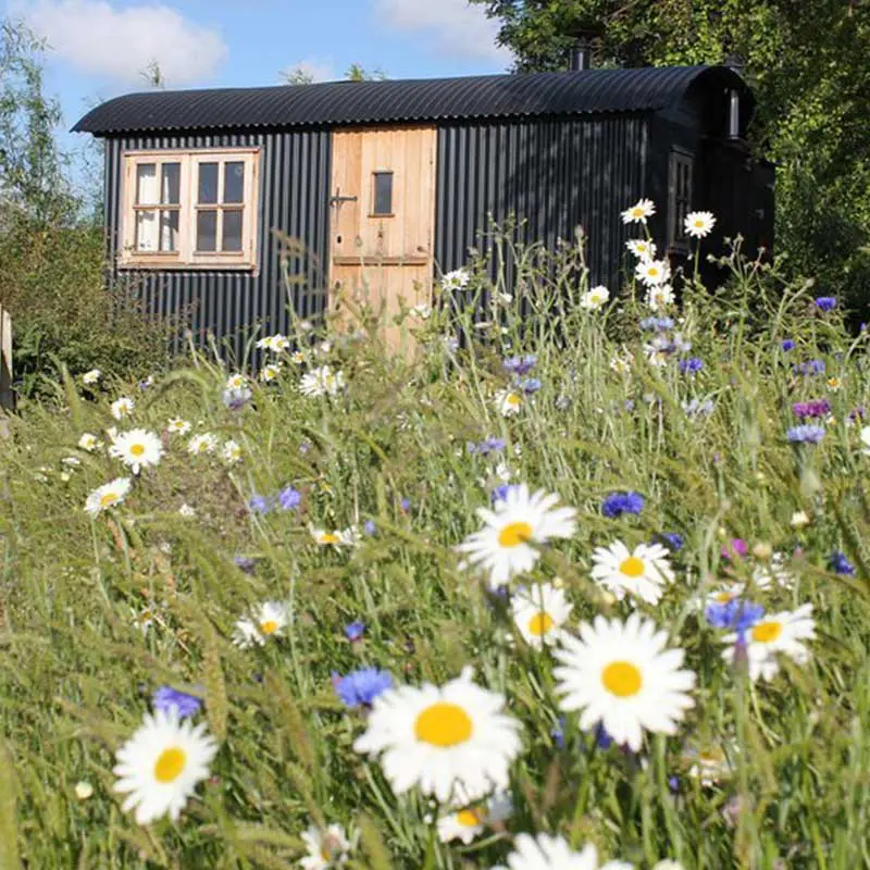 Elsie’s Shepherd’s Hut