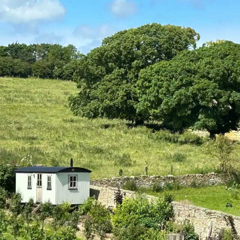 West Ayton Shepherd’s Hut ‘Wrinkly Tin’