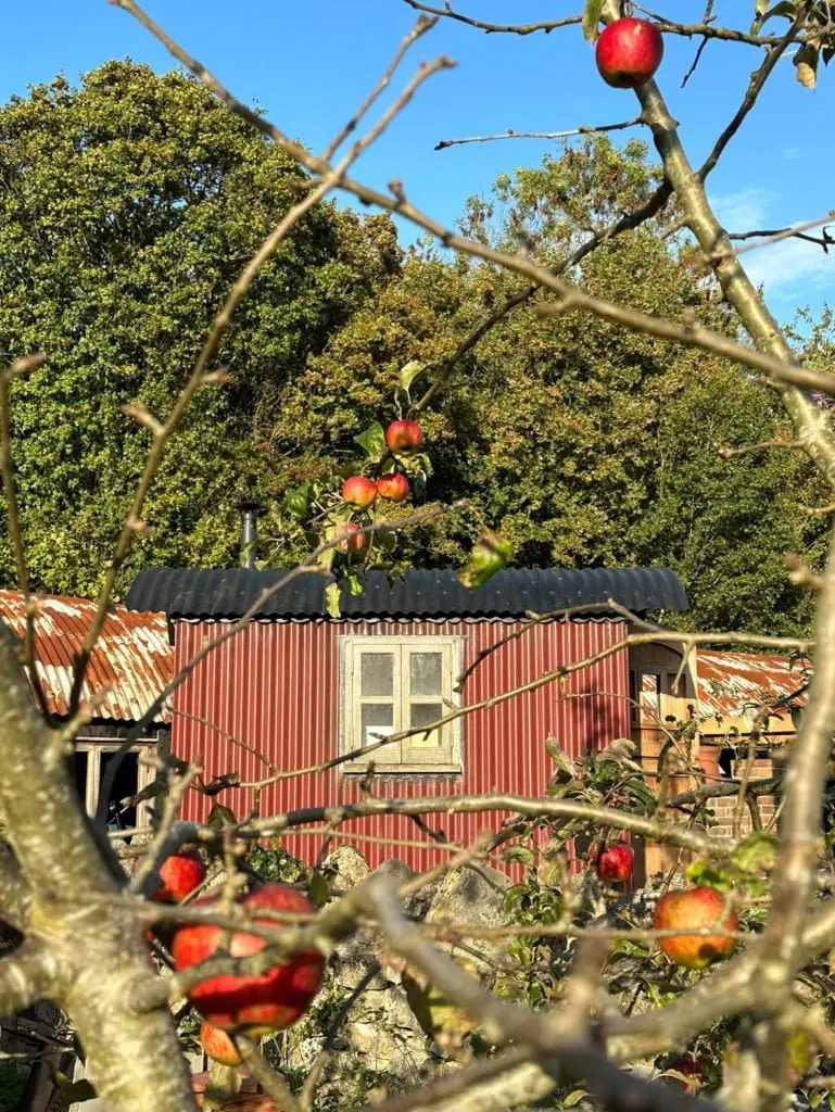 Plankbridge shepherd's hut