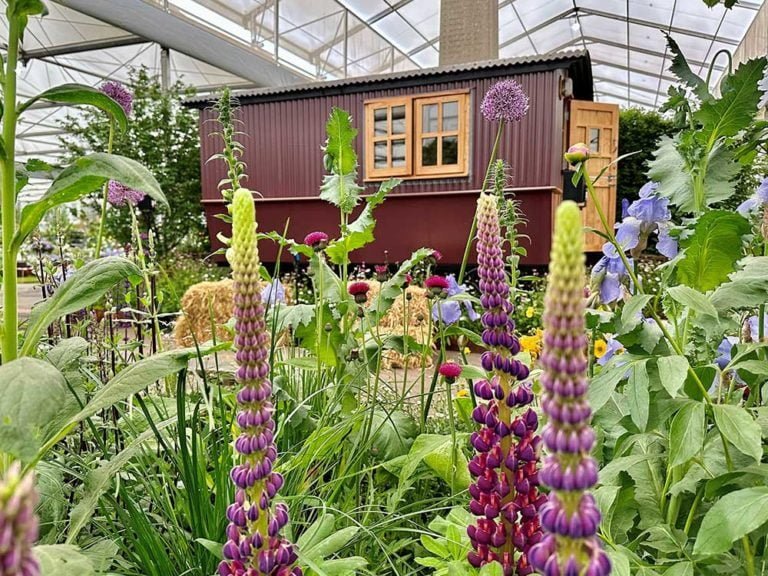 Plankbridge shepherd's hut RHS Bothy