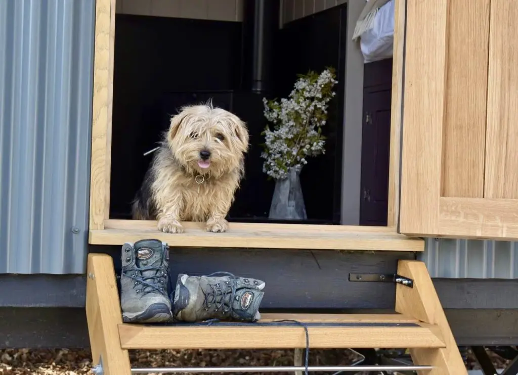 Plankbridge shepherd's hut