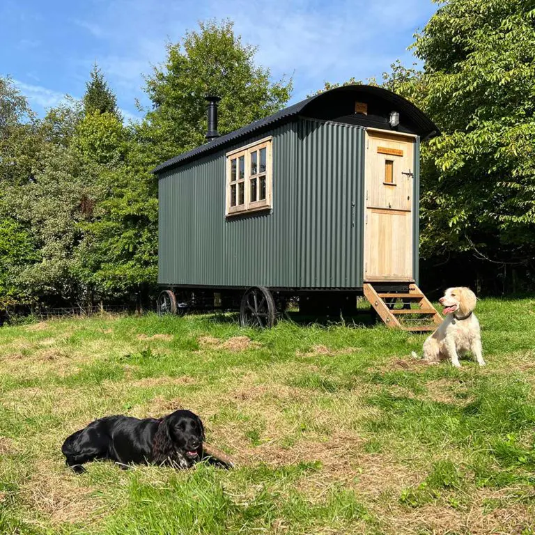 The Snug shepherd's hut from Plankbridge